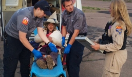 Cụ bà may mắn sống sót khi lạc trong rừng 9 ngày