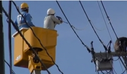 Nghẹt thở giải cứu tinh tinh xổng chuồng đánh đu trên dây điện