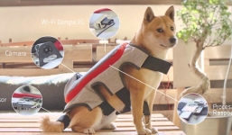 Chó cũng có thể tự chụp ảnh đăng Facebook