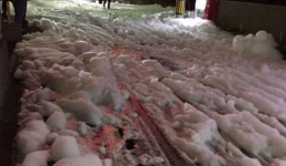 Lớp bọt lạ xuất hiện sau trận động đất kinh hoàng ở Nhật Bản