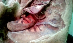 Phát hiện xác ướp 1.500 tuổi đi giày Adidas