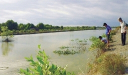 Bàng hoàng phát hiện vợ tử vong ở bờ vuông tôm