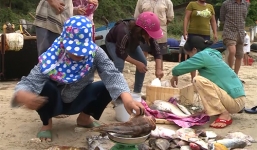 Cá chết bất thường tràn ngập bờ biển Quảng Trị