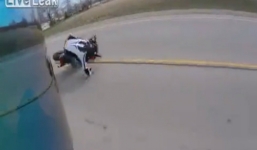 Hai môtô gặp nạn vì một chú chó