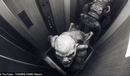 Video hoảng loạn vì 'quái vật' 4 chân xuất hiện ở công viên 