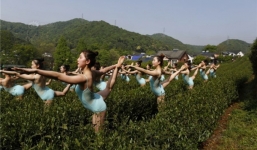 Vừa múa ballet vừa hái chè, nhóm gái xinh bị dân mạng 'ném đá'