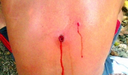 Vây bắt sới gà, súng trưởng công an xã cướp cò khiến một người bị thương