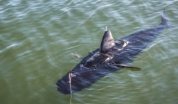 Mỹ lên kế hoạch điều tàu ngầm không người lái tới Biển Đông