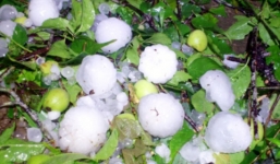 Thời tiết hôm nay 21/4: Nắng nóng diện rộng, Tây Nguyên đề phòng mưa đá