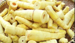 Măng nhiễm chất vàng ô bị phát hiện ở TPHCM