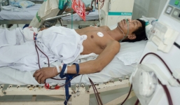 Một người tử vong, 2 người nhập viện do ăn bọ rầy