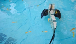 Video: Robot rắn nước xuất hiện ở Na Uy