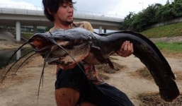 Bắt được 'quái vật' da trơn khủng dài 1m trên sông ô nhiễm đen ngòm