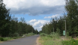 Sát hại người tình rồi chở xác đi lòng vòng