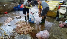 Đầu tuần phát hiện mỡ bẩn, cuối tuần phát hiện nội tạng hóa chất