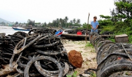 Thực hư thông tin hàu nuôi bằng lốp xe có độc tố gây ung thư