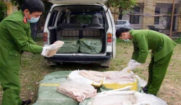 Phát hiện gần 1 tấn nầm lợn nhập lậu từ Trung Quốc