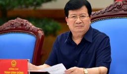 Phó Thủ tướng yêu cầu làm rõ nguyên nhân cá biển chết bất thường