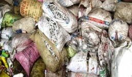 Thái Bình: Phát hiện hơn 100 bao tải kim tiêm còn dính máu