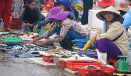 Cá biển rớt giá 5 lần, ngư dân và tiểu thương thất thu