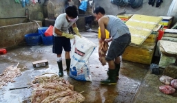 Hãi hùng nội tạng bò ngâm hóa chất ở Đồng Nai