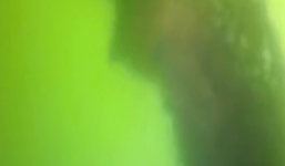 Cá chết trắng: Tại sao Bộ TN&MT đến 23/4 mới thừa nhận ống xả thải?