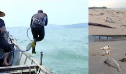 Thợ lặn ở công trình dự án Formosa tử vong bất thường