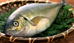Cách ăn cá ít bị nhiễm độc nhất 