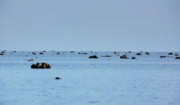 Trung Quốc nhăm nhe cải tạo bãi cạn Scarborough