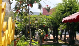 Vụ quán cà phê 'Xin chào': Đại tá Nguyễn Văn Quý gửi lời xin lỗi