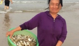 Người dân nhặt cá chết bán cho thương lái kiếm hàng triệu đồng/ngày