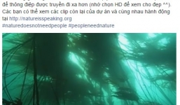 2 clip khiến người xem ám ảnh: Khi Biển và 'Mẹ thiên nhiên' nổi giận 