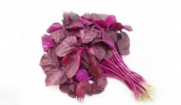 Công dụng chữa bệnh của rau dền ít người biết