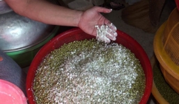 Hãi hùng giá đỗ được làm từ thạch cao và hóa chất