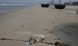 Kết quả kiểm nghiệm nước biển Đà Nẵng