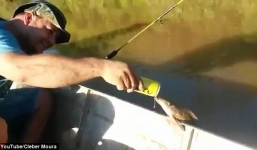 Chuyện lạ: Cá 'trèo' lên mạn thuyền uống bia 