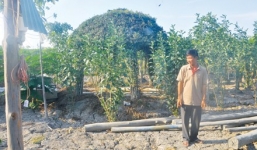 Viện KSND TP HCM trả hồ sơ vụ 'chòi vịt'