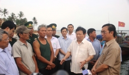 Phó Thủ tướng Trịnh Đình Dũng: Thuê chuyên gia nước ngoài tìm nguyên nhân cá chết