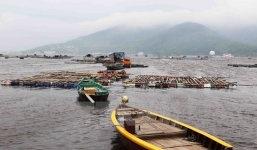 Bộ Công Thương lập đường dây nóng hỗ trợ thông tin thu mua hải sản