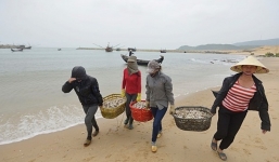 Kết quả quan trắc nước biển tại 4 tỉnh miền Trung