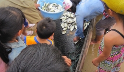 Rối thông tin, hướng dẫn vụ cá chết hàng loạt ở miền Trung