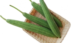 Công dụng chữa bệnh tuyệt vời của mướp hương