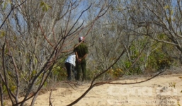 Khống chế chồng, làm trò đồi bại với vợ đang mang thai: Bắt khẩn cấp 3 nghi can