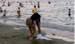 Ông Tây nhặt rác trên bãi biển, khiến nhiều người Việt cảm thấy xấu hổ