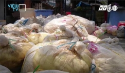 Hãi hùng cảnh đổ hóa chất biến măng thối thành tươi ngon