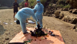 Phát hiện thi thể phụ nữ đang phân hủy dưới chân núi