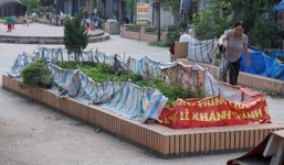 Nỗi lo rau bẩn khiến người Hà Nội biến vườn hoa chung thành vườn rau