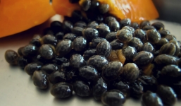 Hạt đu đủ và tác dụng bất ngờ đối với sức khỏe