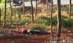 Xác định danh tính thi thể với nhiều vết đâm trong lô cao su