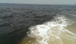 Xuất hiện vệt nước đen sẫm gần biển Vũng Áng